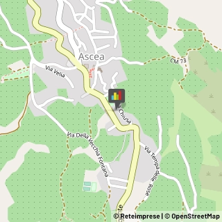 Parrucchieri Ascea,84046Salerno