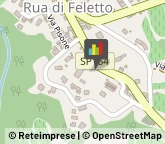 Tour Operator e Agenzia di Viaggi,31020Treviso