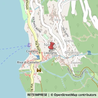 Mappa Via Salita Municipio, 13, 22020 Nesso CO, Italia, 22020 Nesso, Como (Lombardia)
