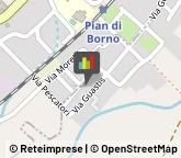 Imprese Edili,25050Brescia