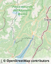 Segherie Stenico,38070Trento