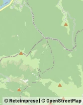 Veterinaria - Articoli e Prodotti Feltre,32032Belluno