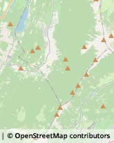 Assicurazioni Drena,38100Trento