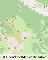 Autotrasporti Primaluna,23819Lecco