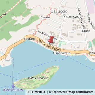 Mappa Via Statale 22/a Gps:, 45.968284, 22016 Tremezzina, Como (Lombardia)