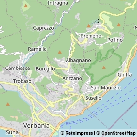 Mappa Bee