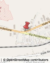 Viale Venezia, 147,33030Codroipo