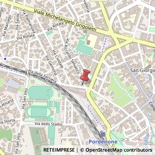 Mappa Via Riccardo Selvatico, 47, 33170 Pordenone, Pordenone (Friuli-Venezia Giulia)