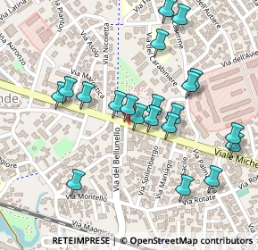 Mappa Viale Michelangelo Grigoletti, 33070 Pordenone PN, Italia (0.235)