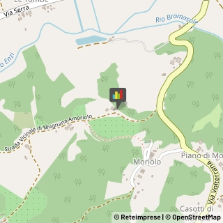 Alberghi San Miniato,56028Pisa