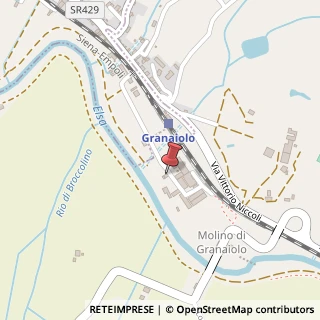Mappa Via Vittorio Niccoli, 315, 50051 Castelfiorentino, Firenze (Toscana)