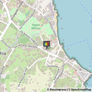 Alberghi Ischia,80077Napoli