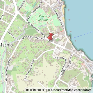 Mappa Via Antonio Sogliuzzo, 34, 80077 Ischia, Napoli (Campania)
