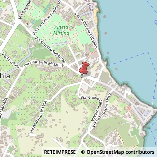 Mappa Via Nuova Cartaromana, 1, 80077 Ischia, Napoli (Campania)