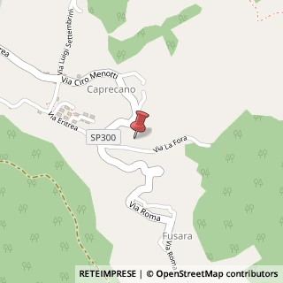 Mappa Via la Fora, 5, 84081 Baronissi, Salerno (Campania)