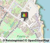 Animali Domestici - Toeletta,80077Napoli