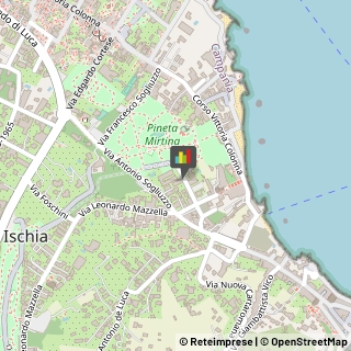 Alberghi Ischia,80077Napoli