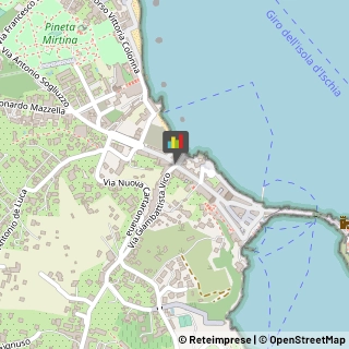 Alimentari Ischia,80077Napoli