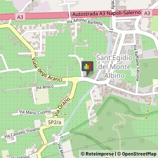 Informazioni Commerciali Sant'Egidio del Monte Albino,84010Salerno