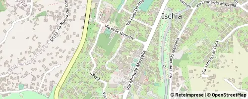 Mappa Ischia