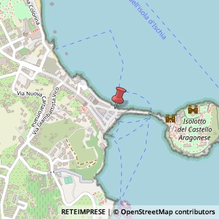 Mappa Via Boccaccio,  1, 80077 Ischia, Napoli (Campania)