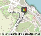 Dietologia - Medici Specialisti Ischia,80077Napoli