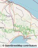 Articoli Natalizi Noci,70015Bari