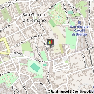 Animali Domestici - Vendita,80046Napoli