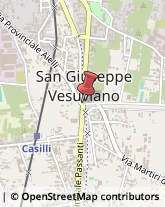 Casa di Cura Santa Lucia Srl, 74,80047San Giuseppe Vesuviano