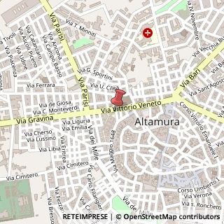 Mappa Via Vittorio Veneto, 88, 70022 Altamura, Bari (Puglia)