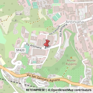 Mappa Via Antiniana, 115, 80078 Pozzuoli, Napoli (Campania)