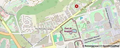 Mappa Naples