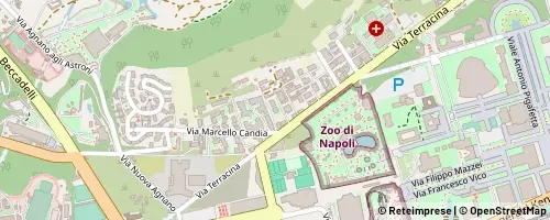 Mappa Napoli