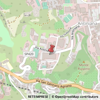 Mappa Via Antiniana, 115, 80078 Pozzuoli, Napoli (Campania)