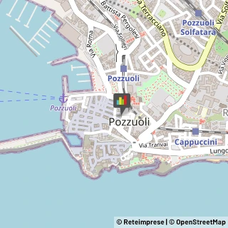 Vivai Piante e Fiori Pozzuoli,80078Napoli