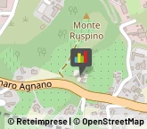 Agriturismi Pozzuoli,80078Napoli