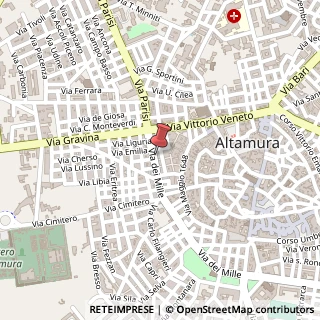 Mappa Via dei Mille, 33, 70022 Altamura, Bari (Puglia)