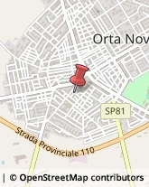 Parrucchieri Orta Nova,71045Foggia