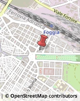 Assicurazioni,71121Foggia