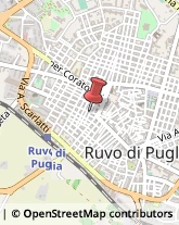 Arredamento - Vendita al Dettaglio Ruvo di Puglia,70037Bari