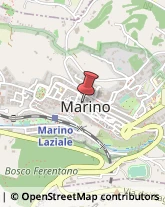 Paste Alimentari - Dettaglio Marino,00047Roma