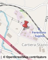 Autogru - Noleggio Ferentino,03013Frosinone