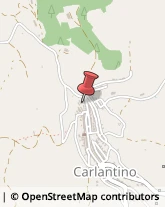 Piante e Fiori - Dettaglio Carlantino,71030Foggia