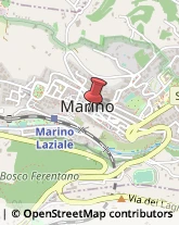 Aziende Agricole Marino,00047Roma