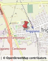 Parrucchieri Triggiano,70019Bari