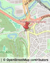 Impianti Sportivi e Ricreativi - Costruzione e Attrezzature Roma,00199Roma