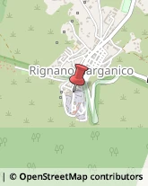 Chiesa Cattolica - Servizi Parrocchiali Rignano Garganico,71010Foggia