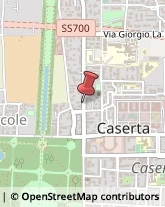 Pelli per Pellicceria Caserta,81100Caserta