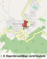 Autolinee Bonefro,86041Campobasso