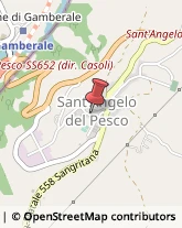 Consulenza di Direzione ed Organizzazione Aziendale Sant'Angelo del Pesco,86080Isernia